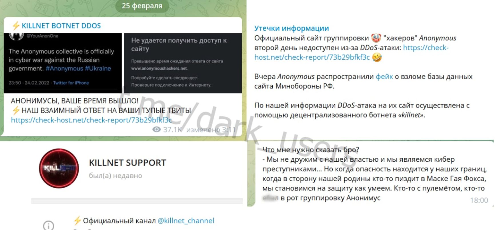 Скриншот издания Darknet News